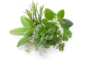 herbs