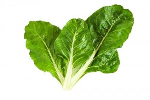 swiss-chard